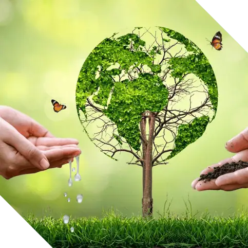 environmental impact